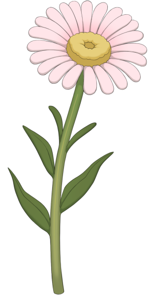 File:Light Pink Daisy.png