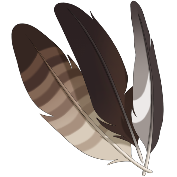 File:Soft Feathers.png