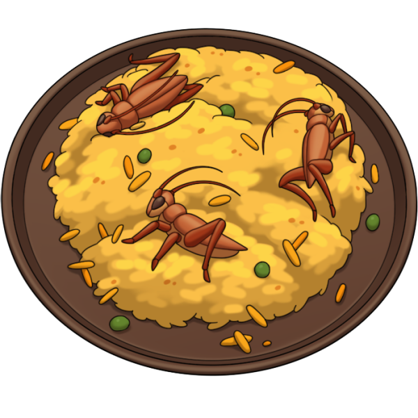 File:Stir-fried Cricket.png