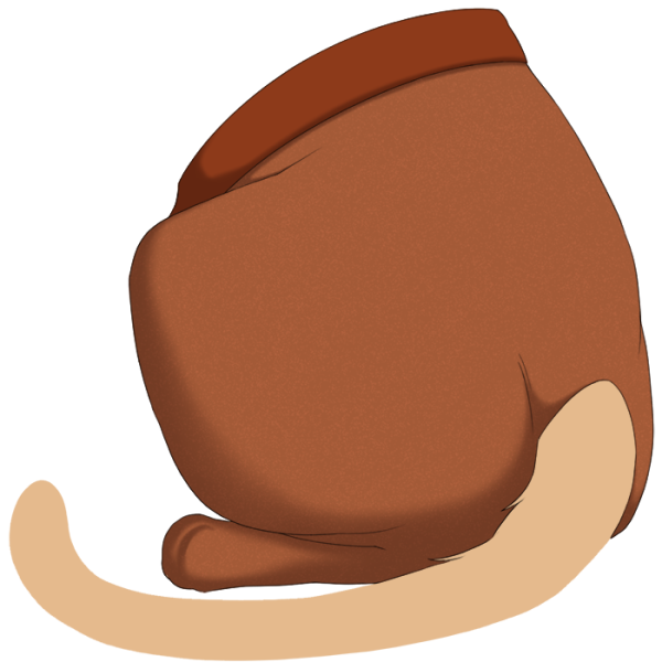 File:Orange Sweetheart Tights.png