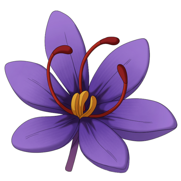 File:Saffron.png