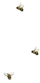 Thumbnail for version as of 17:18, 23 July 2026