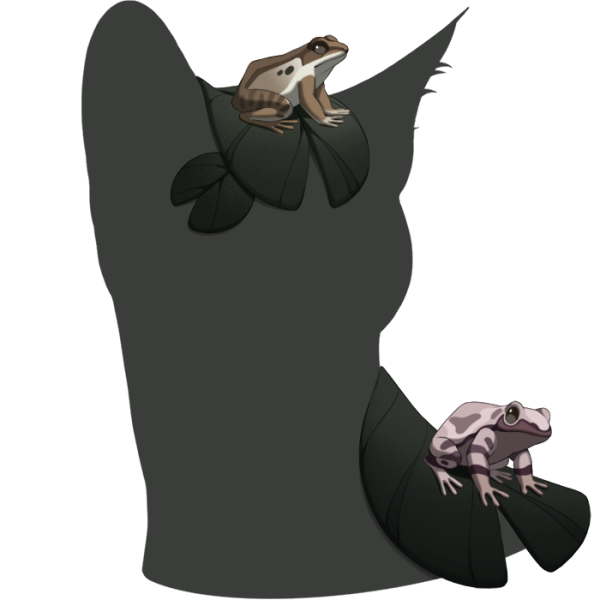File:Black Frog Friends.png