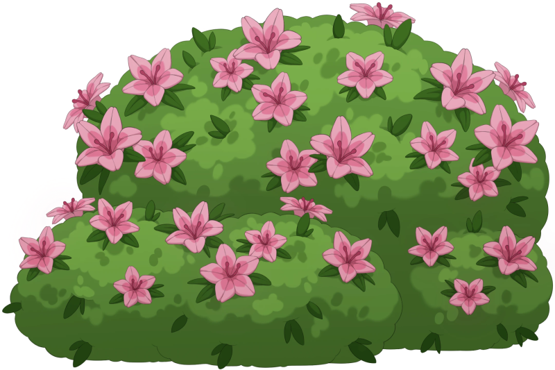File:Summer Yard Bush.png