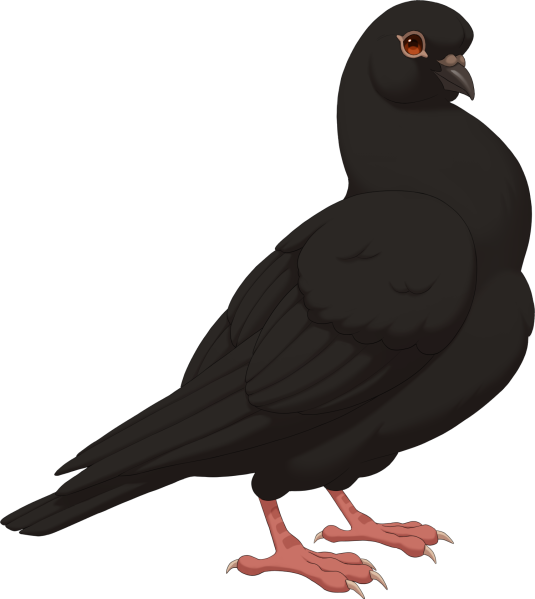 File:Black Standing Dove.png