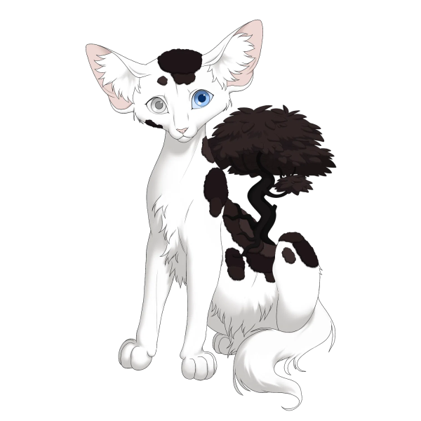 File:Black Creeping Thicket Longhair Kit.png