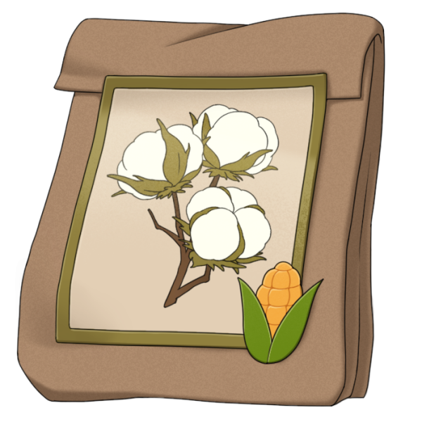 File:Cotton Seed.png