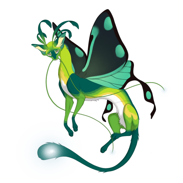 File:Moontail Ribbonwing Cardinal.webp