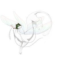 Green Gilded Helm on a Moontail Lacewing Mars