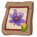 Thumbnail for version as of 20:37, 8 May 2026