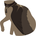 Brown Regal Phoenix Mantle