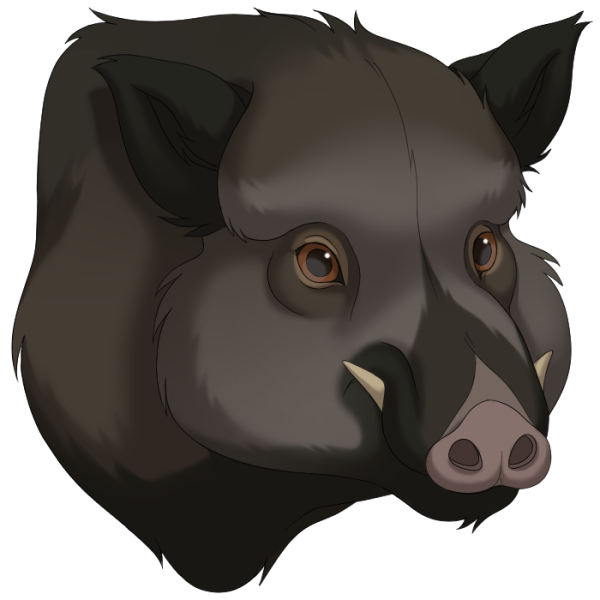 File:Wild Boar.png