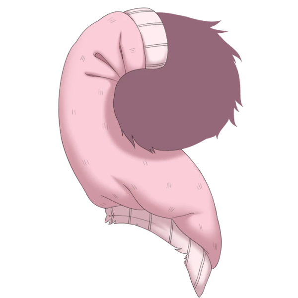 File:Pink Woolen Tail Cozy.png