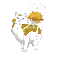Yellow Creeping Thicket on a Ragdoll Venus