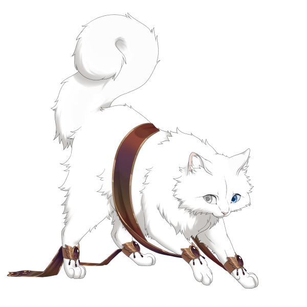 File:Brown Iridescent Trail Ragdoll Mars.png