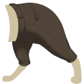 Brown Woolen Pants