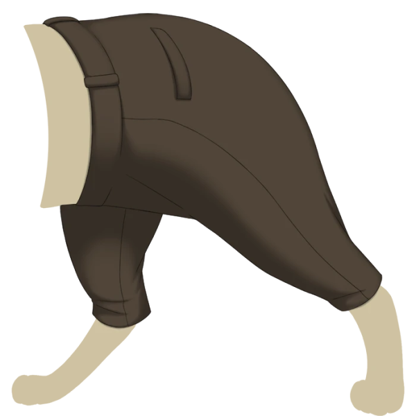 File:Brown Woolen Pants.png