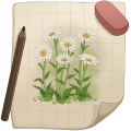 Thumbnail for version as of 17:12, 21 August 2026