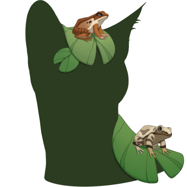 File:Green Frog Friends.png