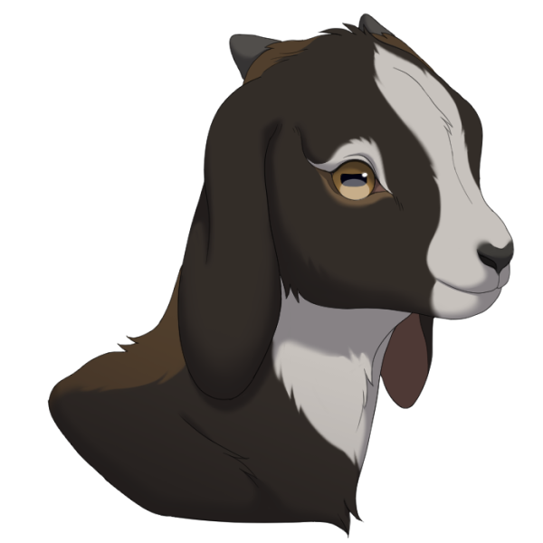 File:Kid.png