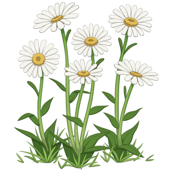 File:Daisy Patch.png