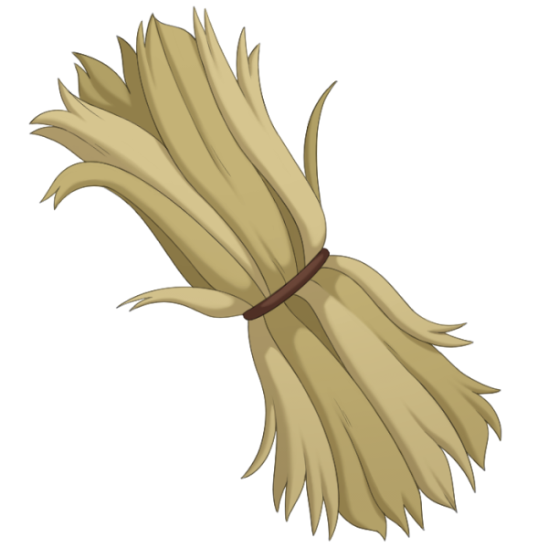 File:Fibrous Plant.png