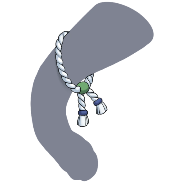 File:White Jute Bracelets.png