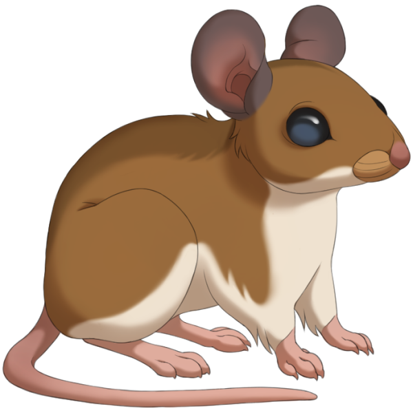 File:Deer Mouse.png