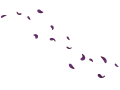 Thumbnail for version as of 14:25, 22 August 2026