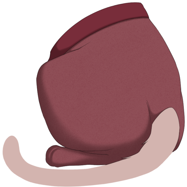 File:Red Sweetheart Tights.png