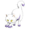 Lavender Basic on a Ragdoll