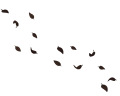 Thumbnail for version as of 13:18, 23 June 2026