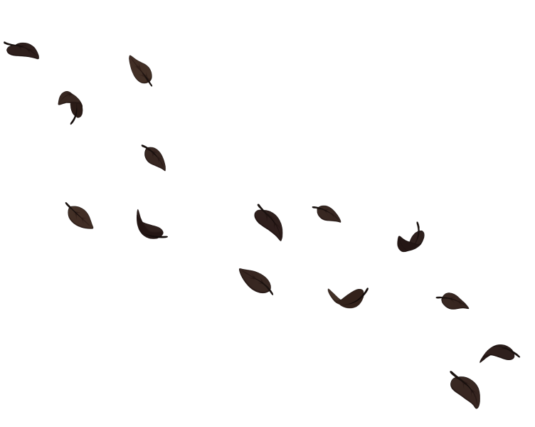 File:Brown Windblown Leaves.png