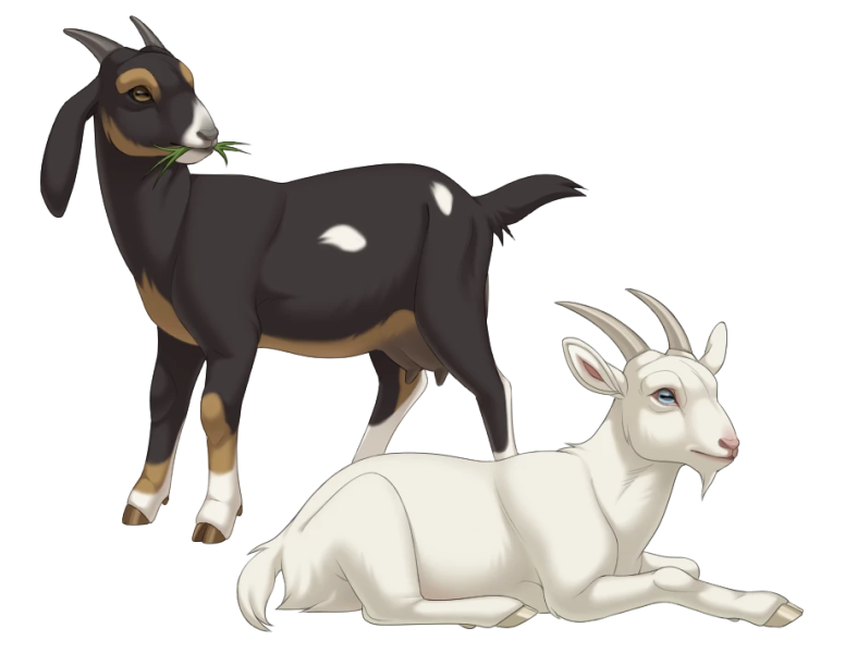 File:Black And White Goats.png