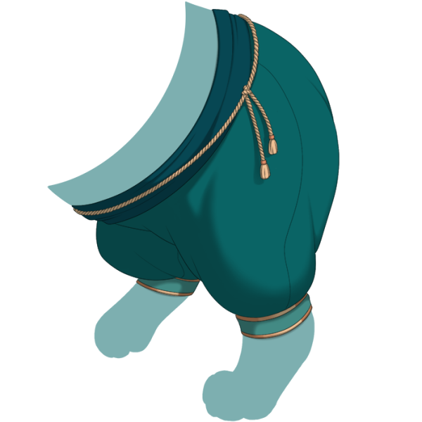 File:Teal Guard's Pants.png