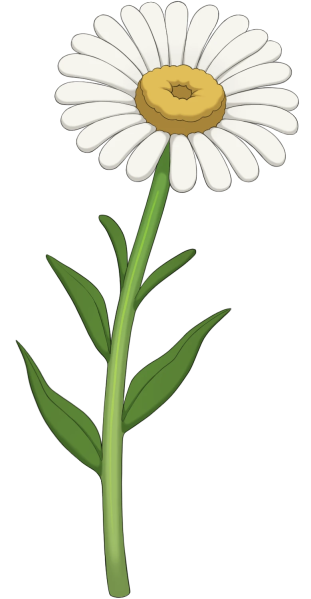 File:Daisy.png