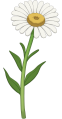 Thumbnail for version as of 21:15, 29 May 2026