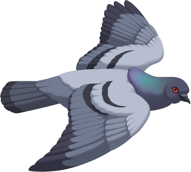 File:Flying Pigeon.png