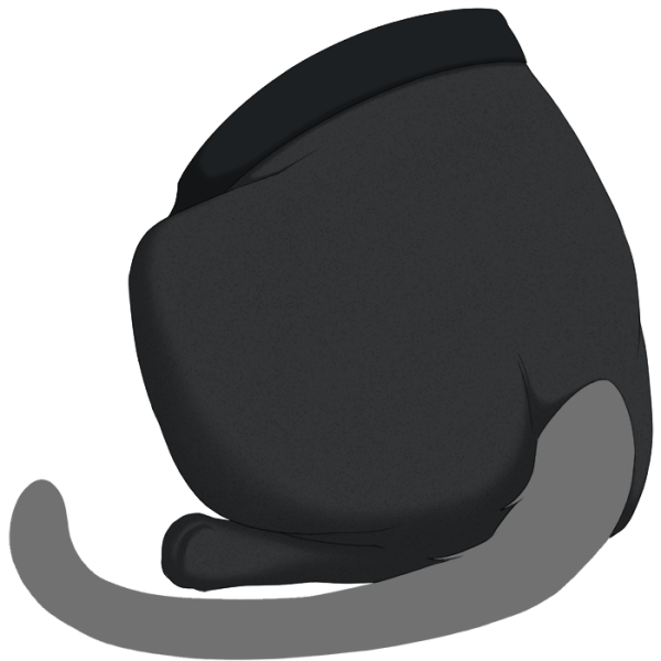 File:Black Sweetheart Tights.png