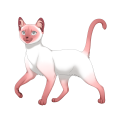 Axolotl Minkface on a venus Prowler.