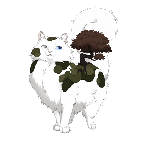 File:Brown Creeping Thicket Ragdoll Venus.png