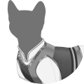 Grey Guard's Chestplate
