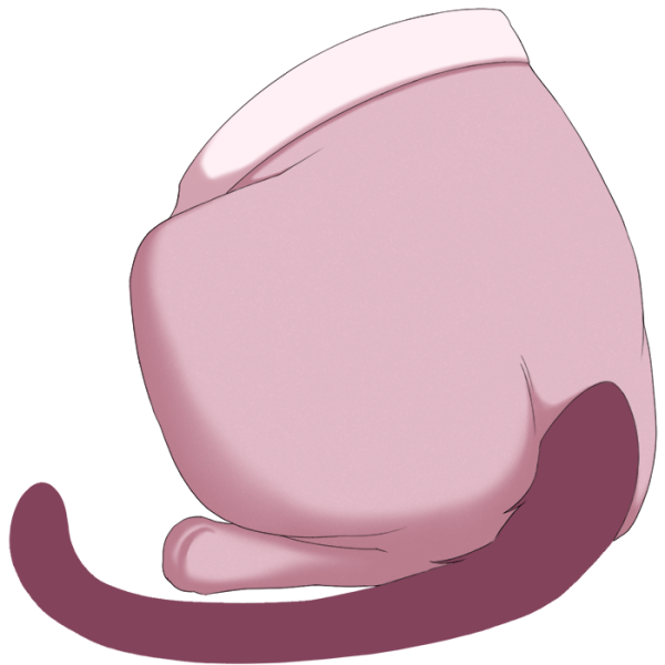 File:Pink Sweetheart Tights.png