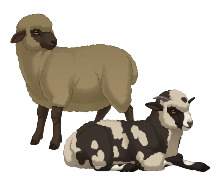 File:Fluffy Sheep.png