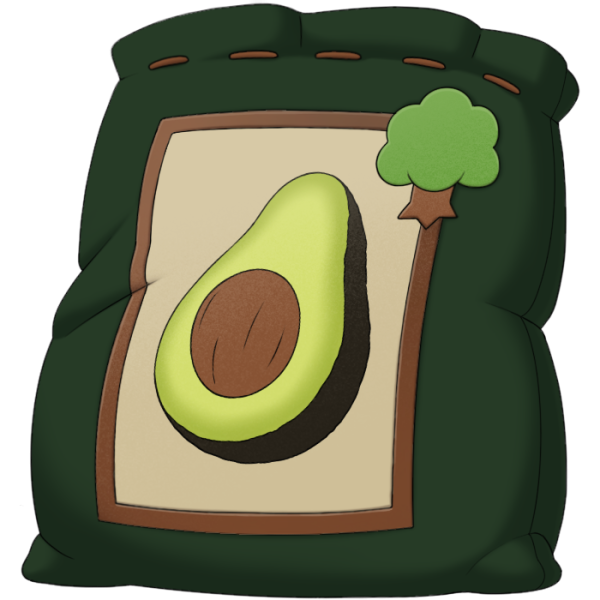 File:Avocado Seed.png
