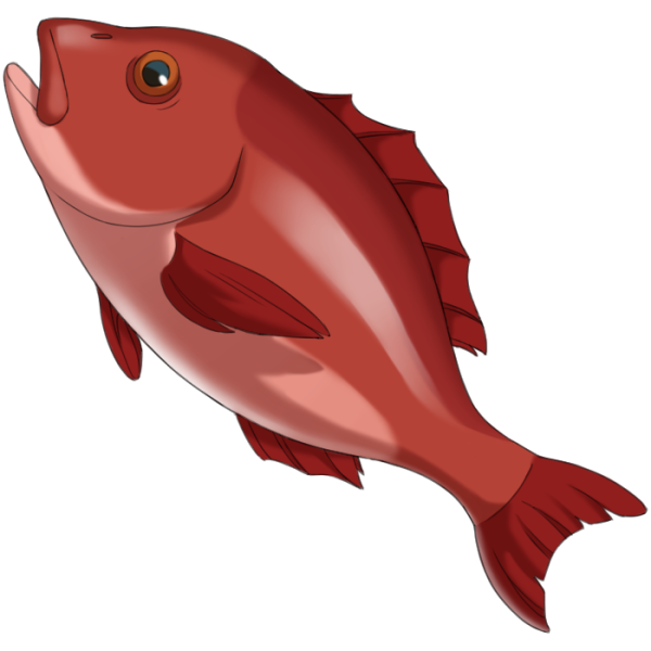 File:Red Snapper.png