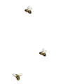 Thumbnail for version as of 18:10, 29 May 2026