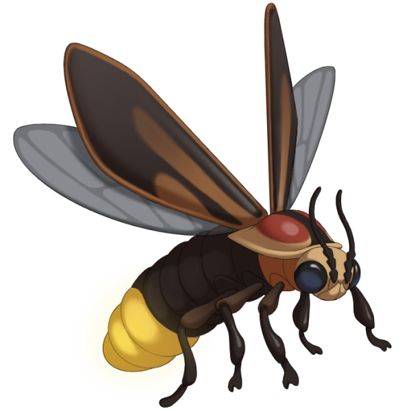 File:Firefly.png