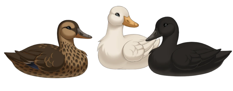 File:Ducks.png
