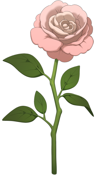 File:Light Pink Rose.png